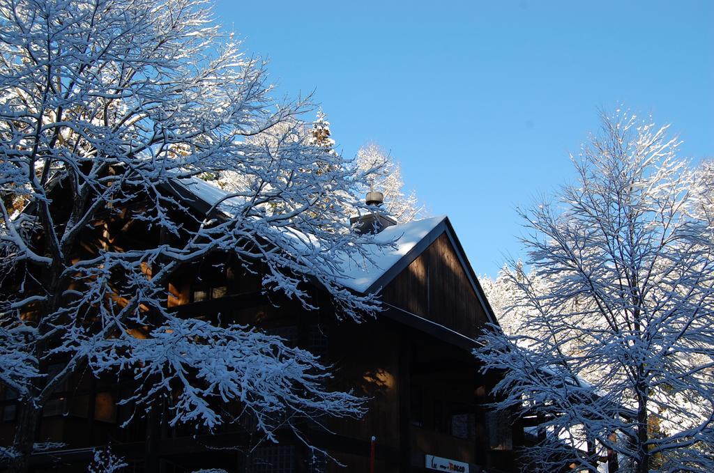 Villa Il Bosco Hakuba Exterior foto