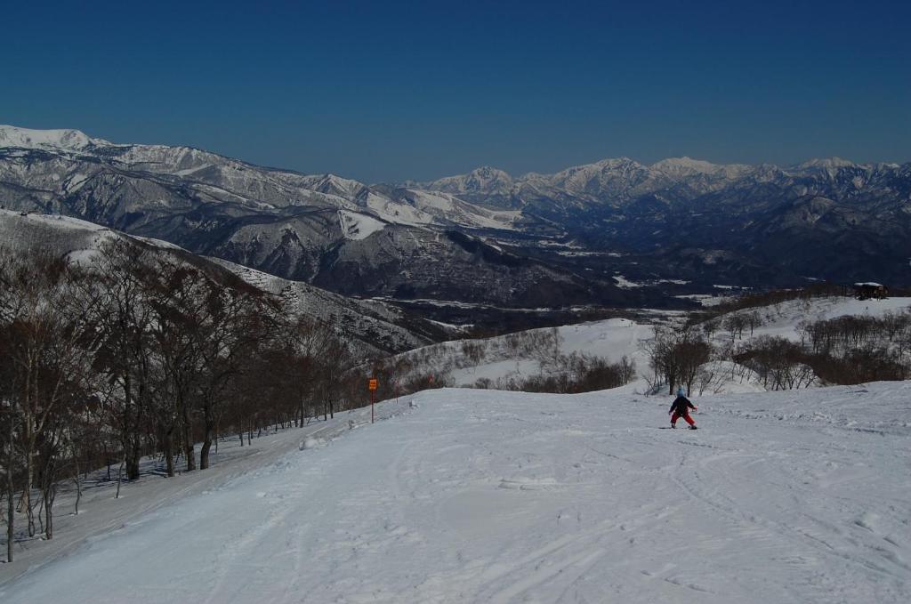 Villa Il Bosco Hakuba Exterior foto